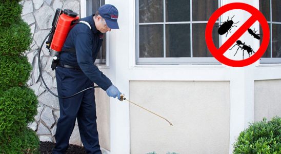 Ağın Fare İlaçlama böcek ilaçlama ve haşere kontrolü — ilaclama-tr.com